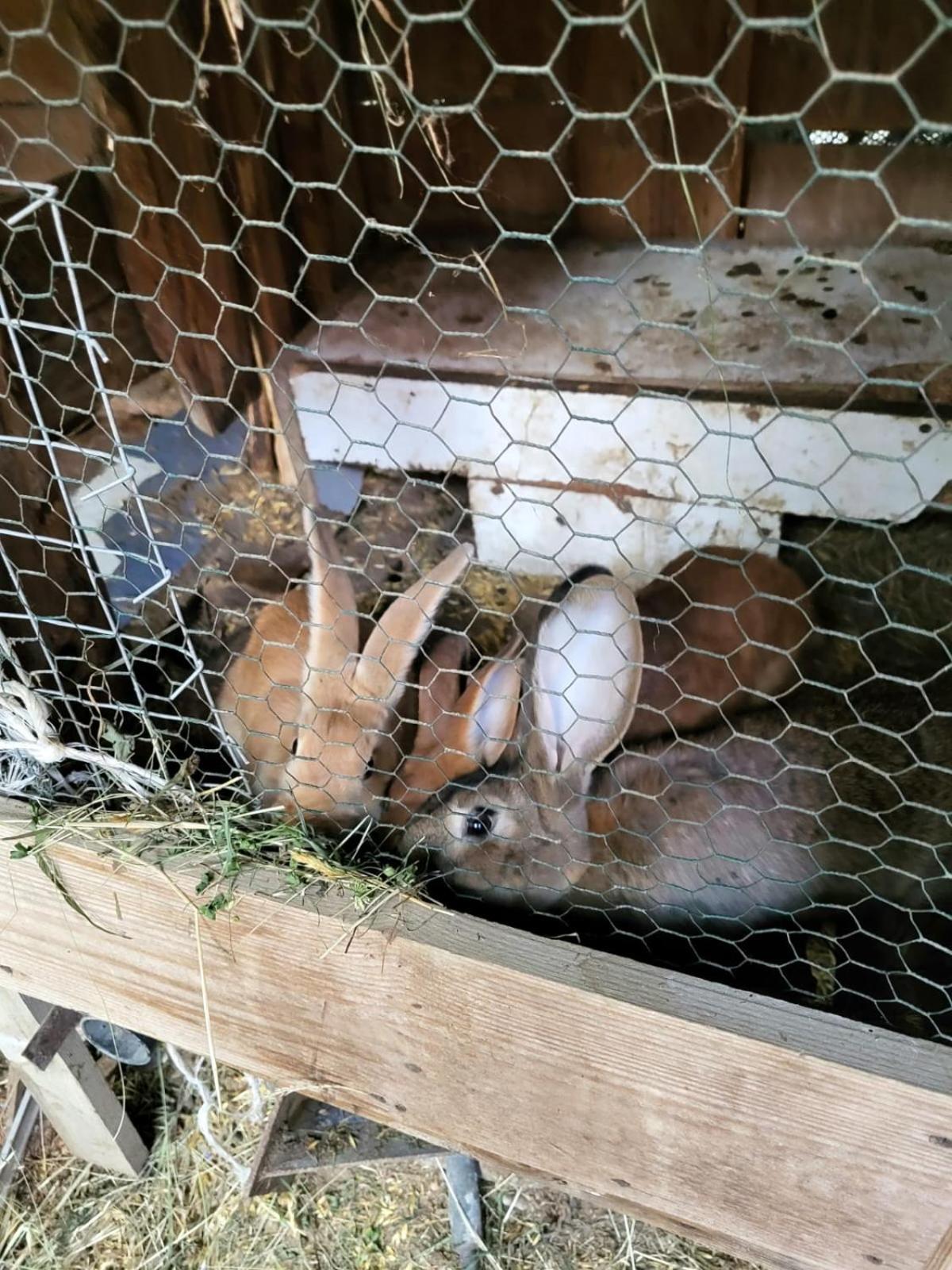 Koperkowe Rancho Beskid Wyspowy Domek Malopolskie Kamionna Kamionna  Exteriér fotografie