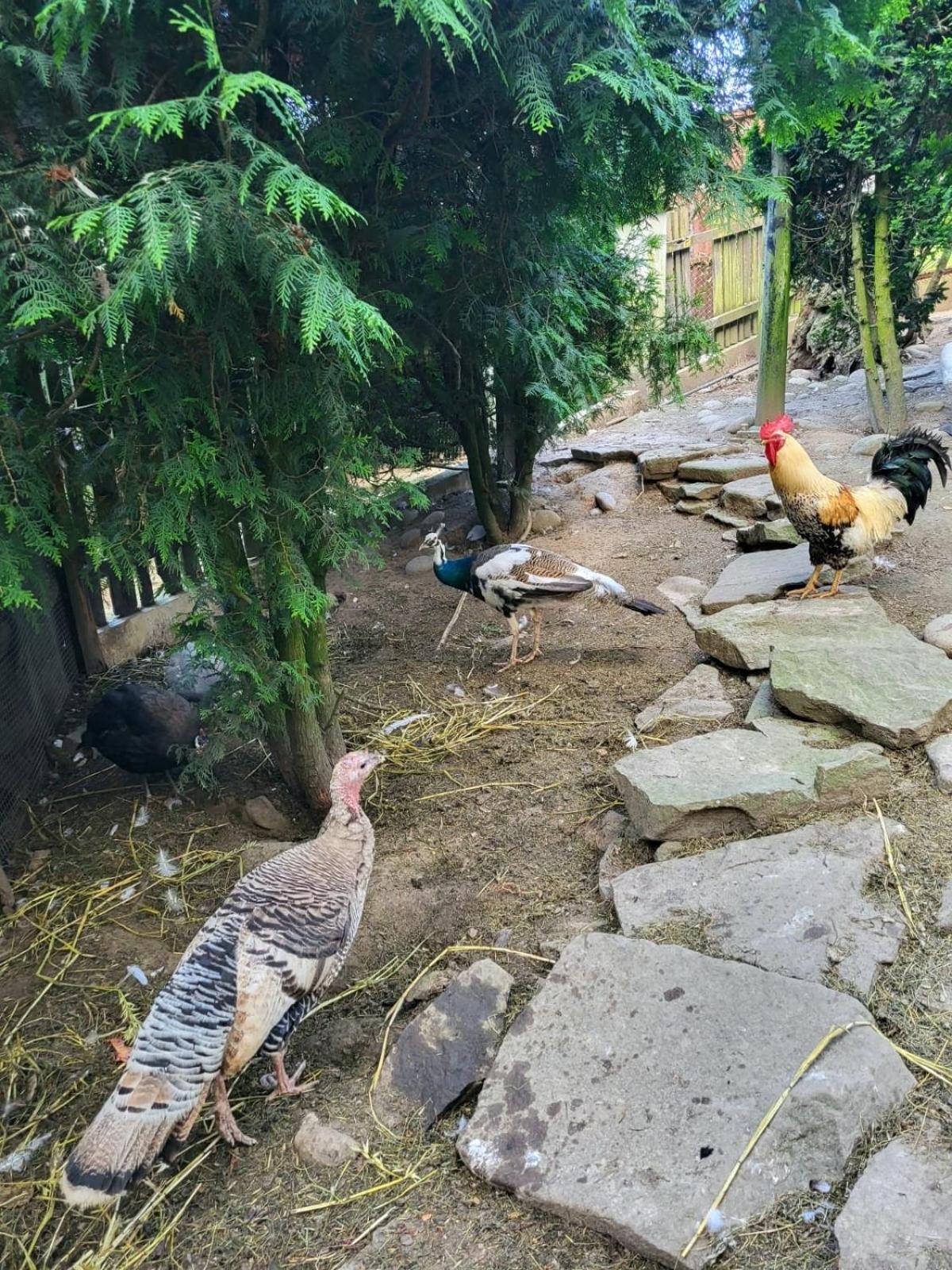Koperkowe Rancho Beskid Wyspowy Domek Malopolskie Kamionna Kamionna  Exteriér fotografie